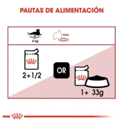 Royal Canin Instinctive gelatina sobres para gatos
