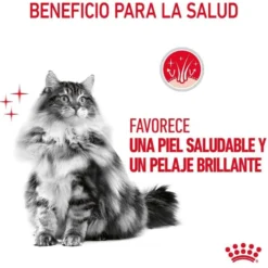 Royal Canin Intense Beauty gelatina sobre para gatos