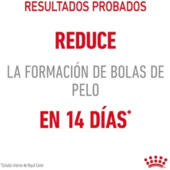 Royal Canin Intense Hairball pienso para gatos