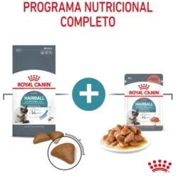 Royal Canin Intense Hairball pienso para gatos