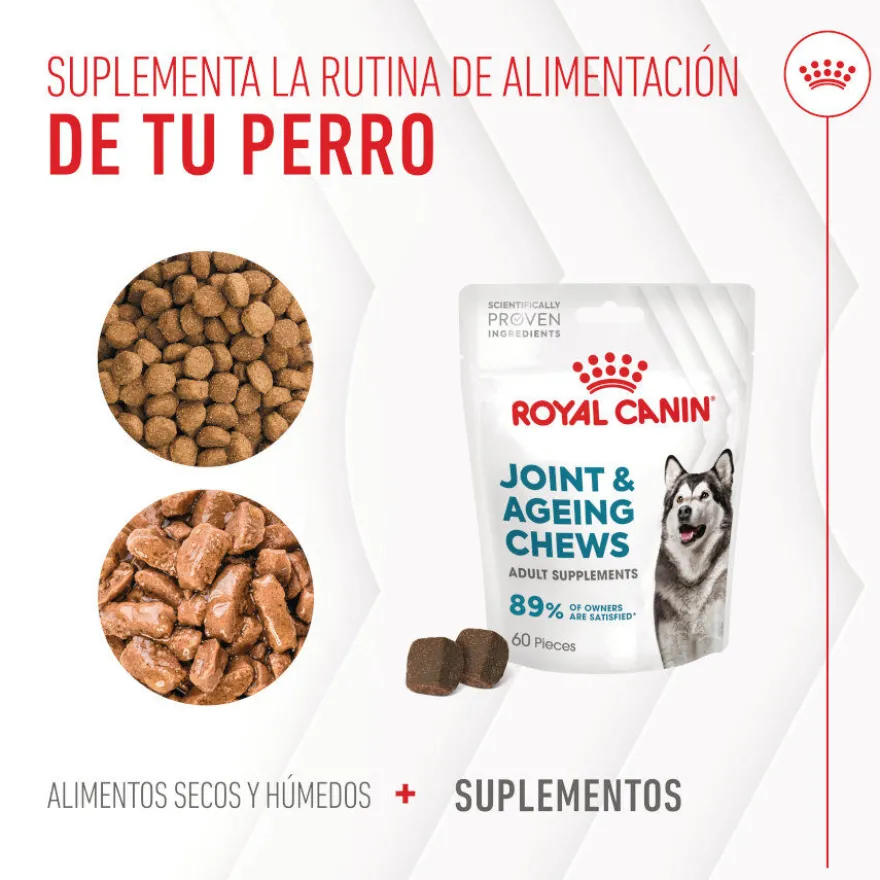 Royal Canin Joint & Ageing Chews Suplemento Nutricional para perros senior