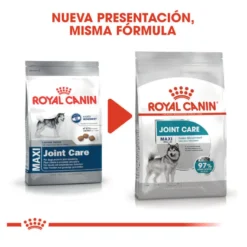 Royal Canin Joint Care Maxi pienso para perros