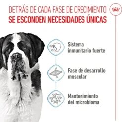 Royal Canin Junior Giant pienso para perros