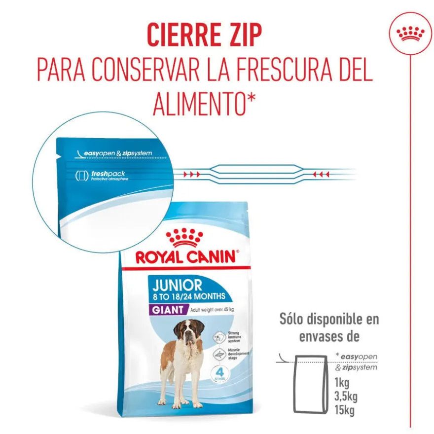 Royal Canin Junior Giant pienso para perros