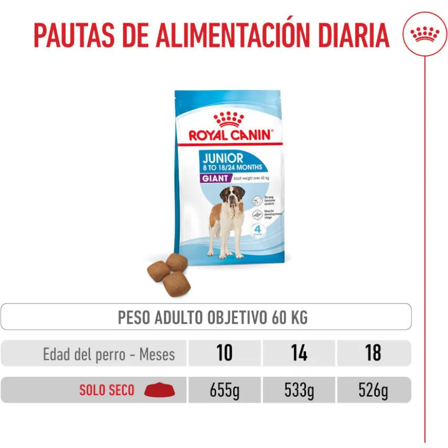 Royal Canin Junior Giant pienso para perros