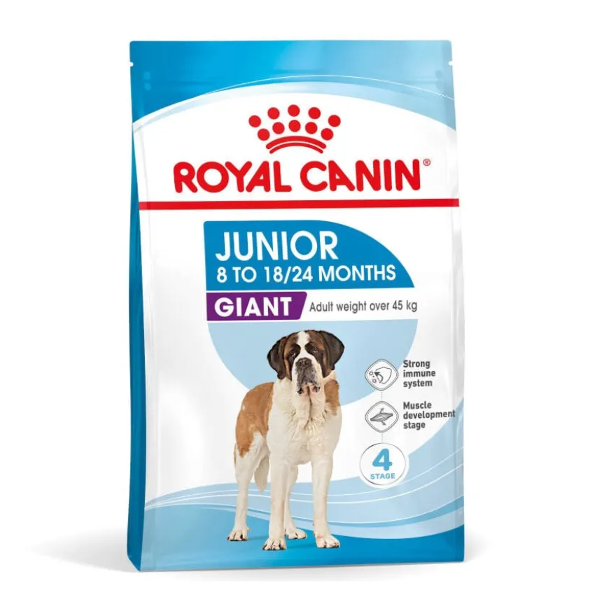 Royal Canin Junior Giant pienso para perros