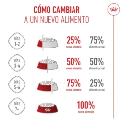 Royal Canin Junior Giant pienso para perros