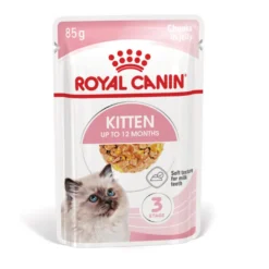 Royal Canin Kitten comida húmeda en gelatina sobre para gatos