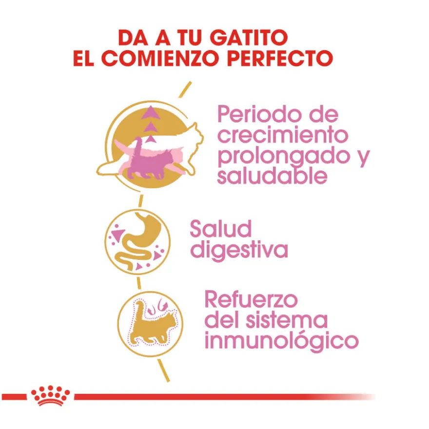 Royal Canin Kitten Maine Coon pienso para gatos