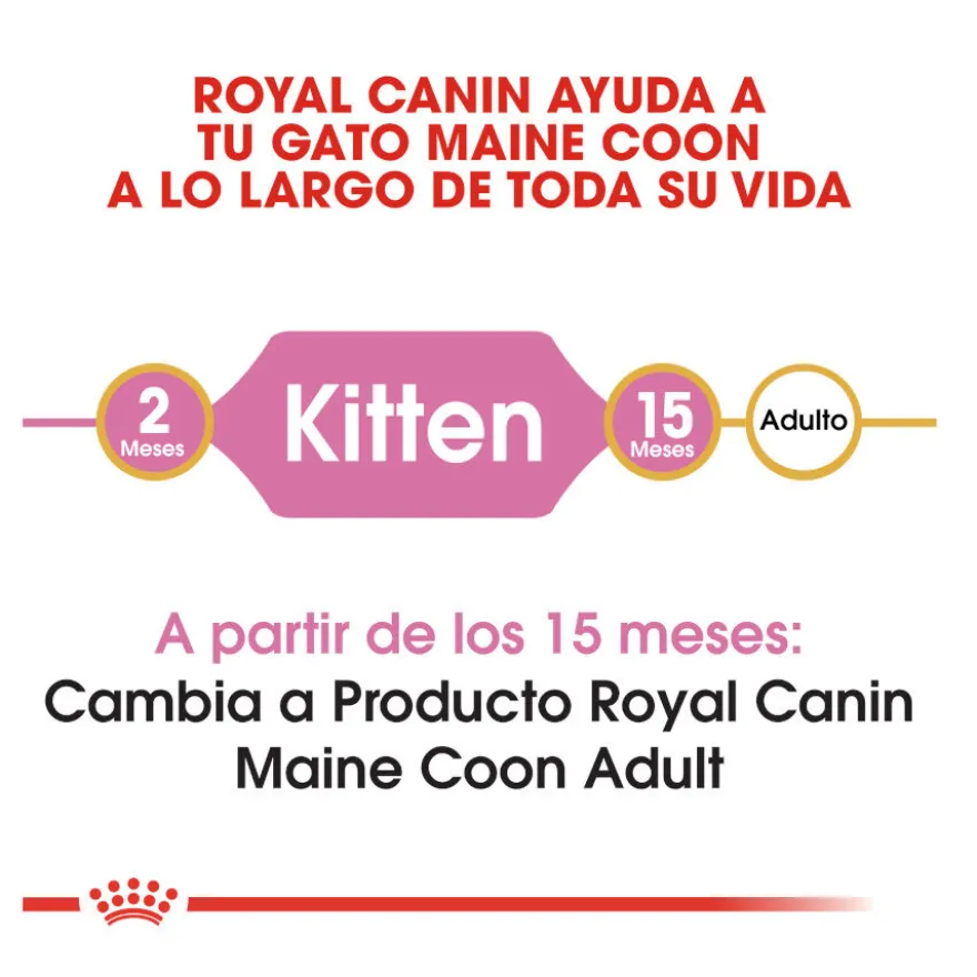 Royal Canin Kitten Maine Coon pienso para gatos