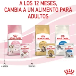 Royal Canin Kitten paté sobre para gatos