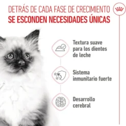 Royal Canin Kitten paté sobre para gatos