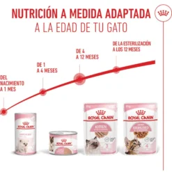 Royal Canin Kitten paté sobre para gatos