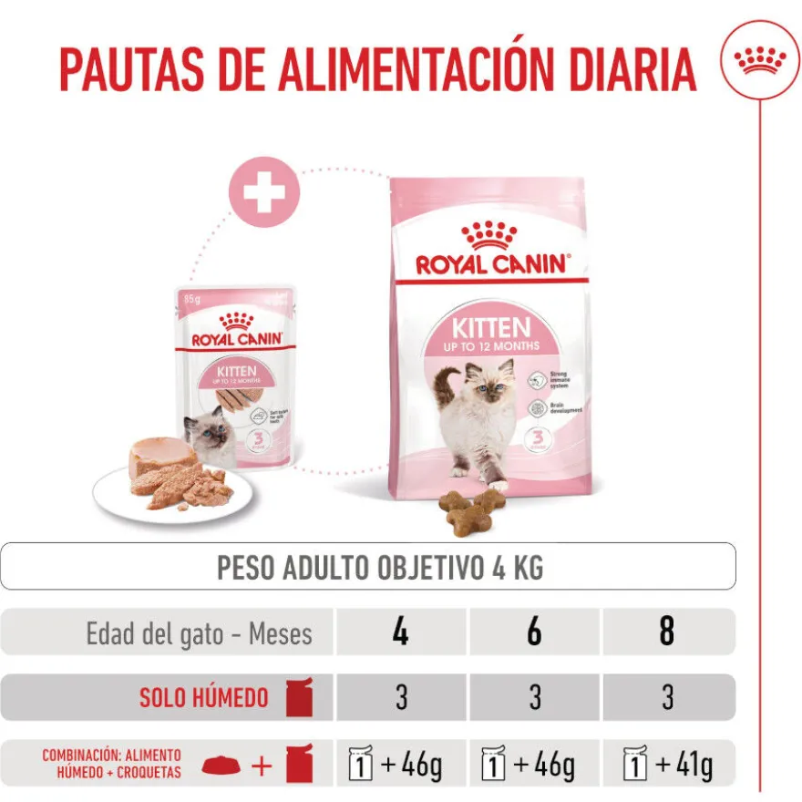 Royal Canin Kitten paté sobre para gatos