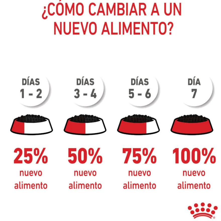 Royal Canin Kitten paté sobre para gatos