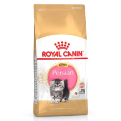 Royal Canin Kitten Persia pienso para gatos