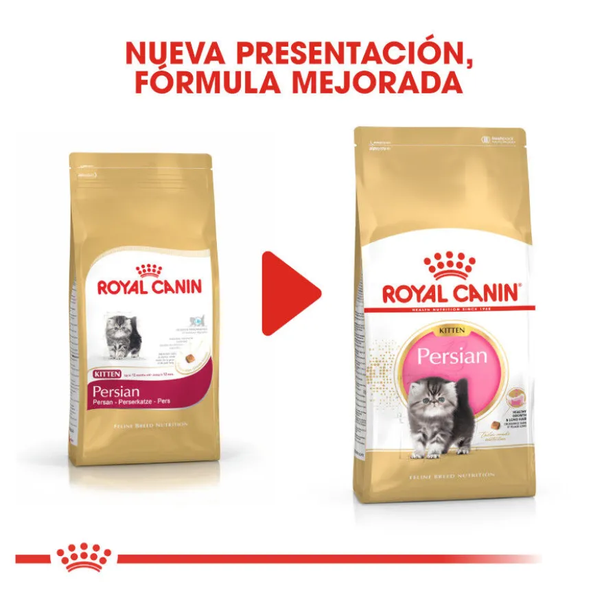 Royal Canin Kitten Persia pienso para gatos
