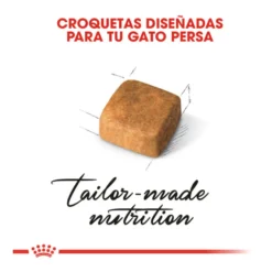 Royal Canin Kitten Persia pienso para gatos