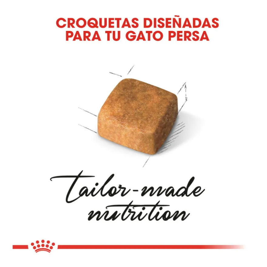 Royal Canin Kitten Persia pienso para gatos