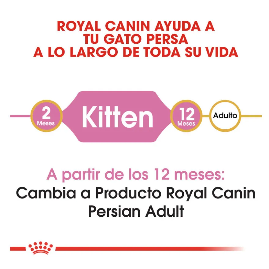 Royal Canin Kitten Persia pienso para gatos