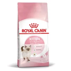 Royal Canin Kitten pienso para gatos