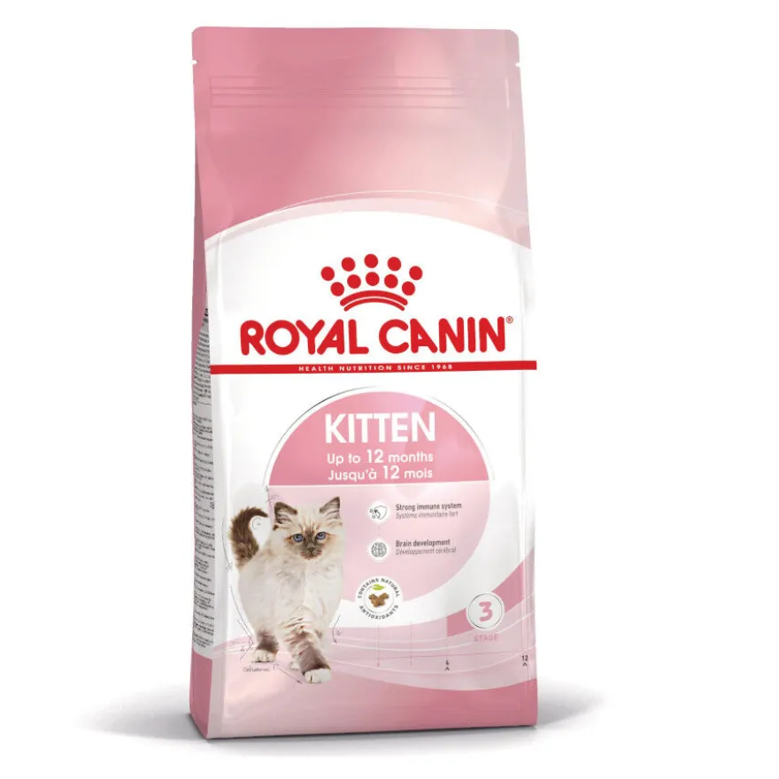 Royal Canin Kitten pienso para gatos