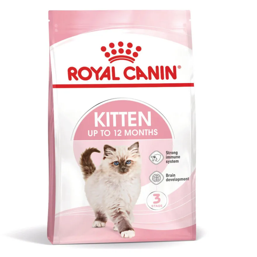 Royal Canin Kitten pienso para gatos