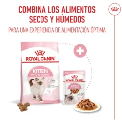 Royal Canin Kitten pienso para gatos
