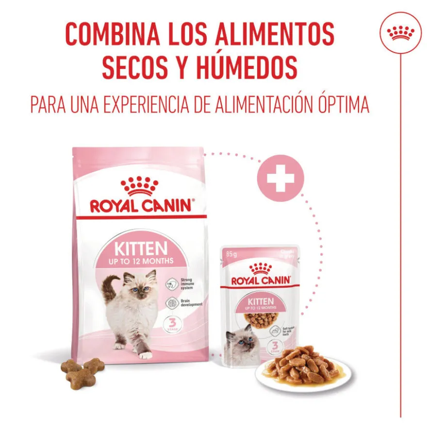 Royal Canin Kitten pienso para gatos
