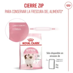 Royal Canin Kitten pienso para gatos