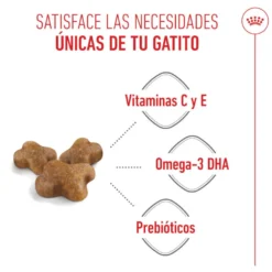 Royal Canin Kitten pienso para gatos