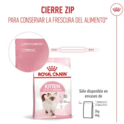 Royal Canin Kitten pienso para gatos