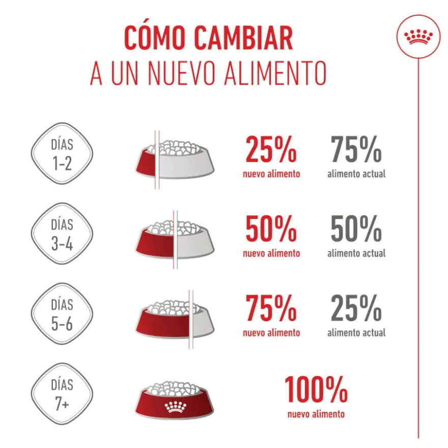 Royal Canin Kitten pienso para gatos