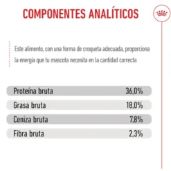 Royal Canin Kitten pienso para gatos