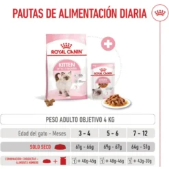 Royal Canin Kitten pienso para gatos