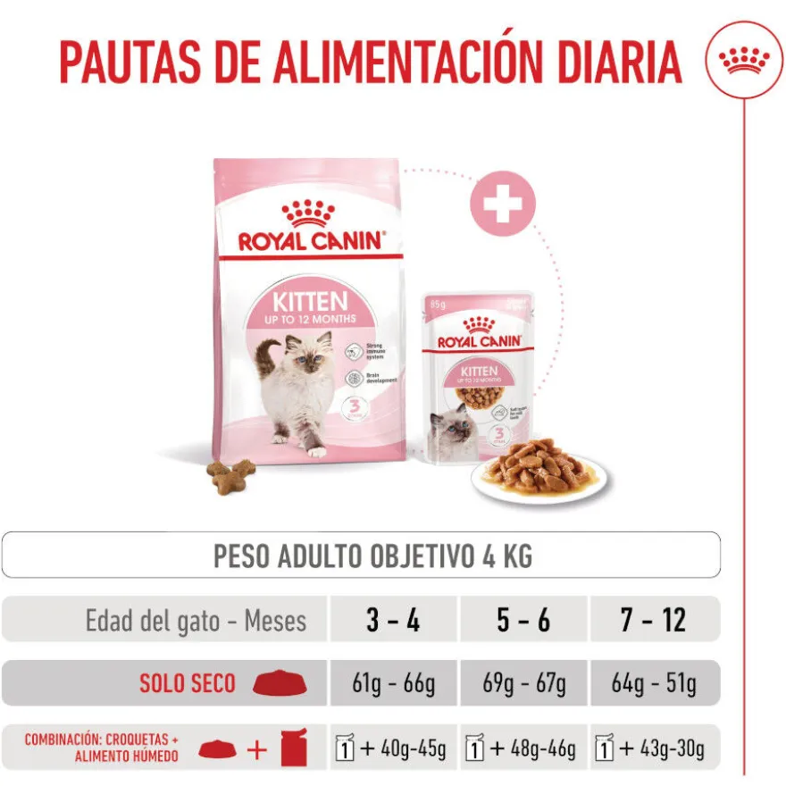 Royal Canin Kitten pienso para gatos