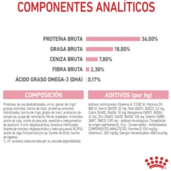Royal Canin Kitten pienso para gatos