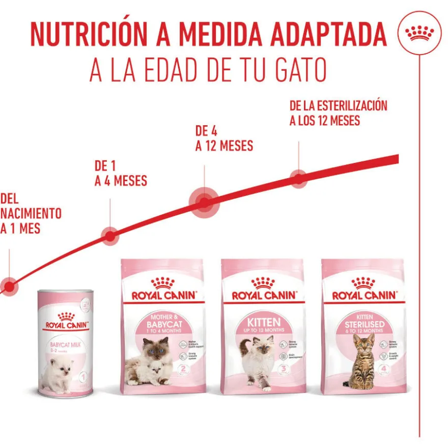 Royal Canin Kitten pienso para gatos