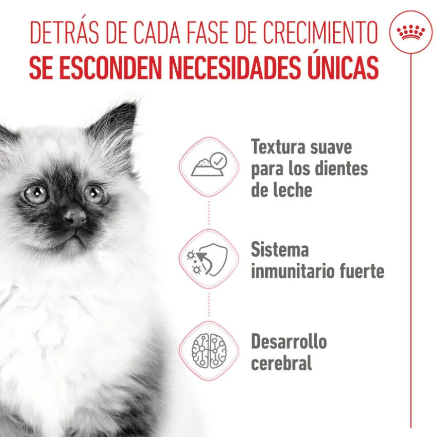 Royal Canin Kitten sobre en salsa para gatos
