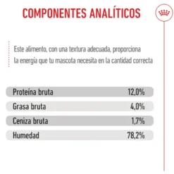 Royal Canin Kitten sobre en salsa para gatos