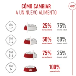 Royal Canin Kitten Sterilised pienso para gatos