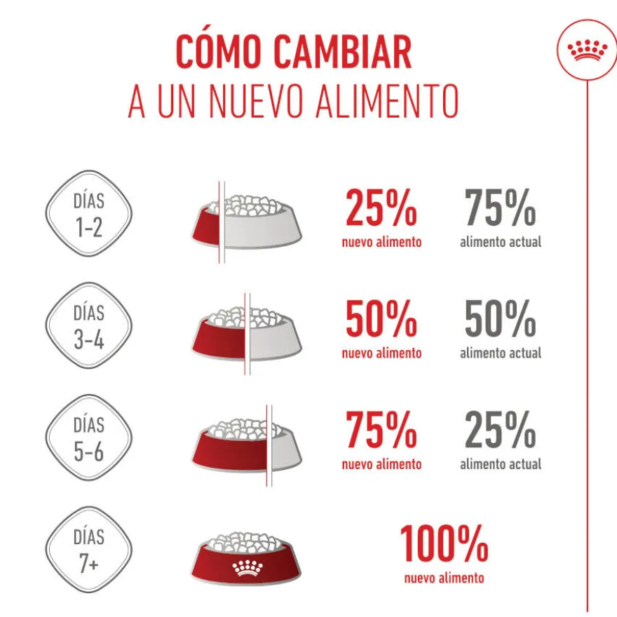 Royal Canin Kitten Sterilised pienso para gatos