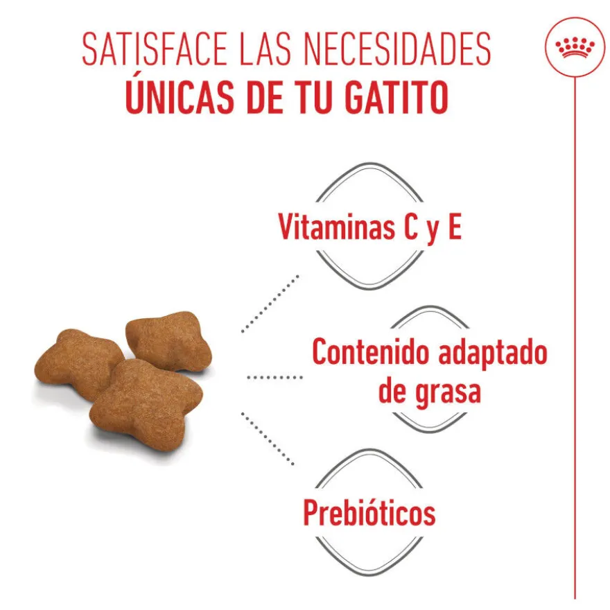 Royal Canin Kitten Sterilised pienso para gatos