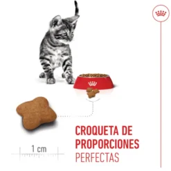 Royal Canin Kitten Sterilised pienso para gatos