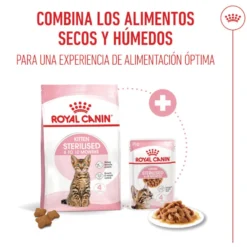 Royal Canin Kitten Sterilised pienso para gatos
