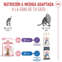 Royal Canin Kitten Sterilised pienso para gatos