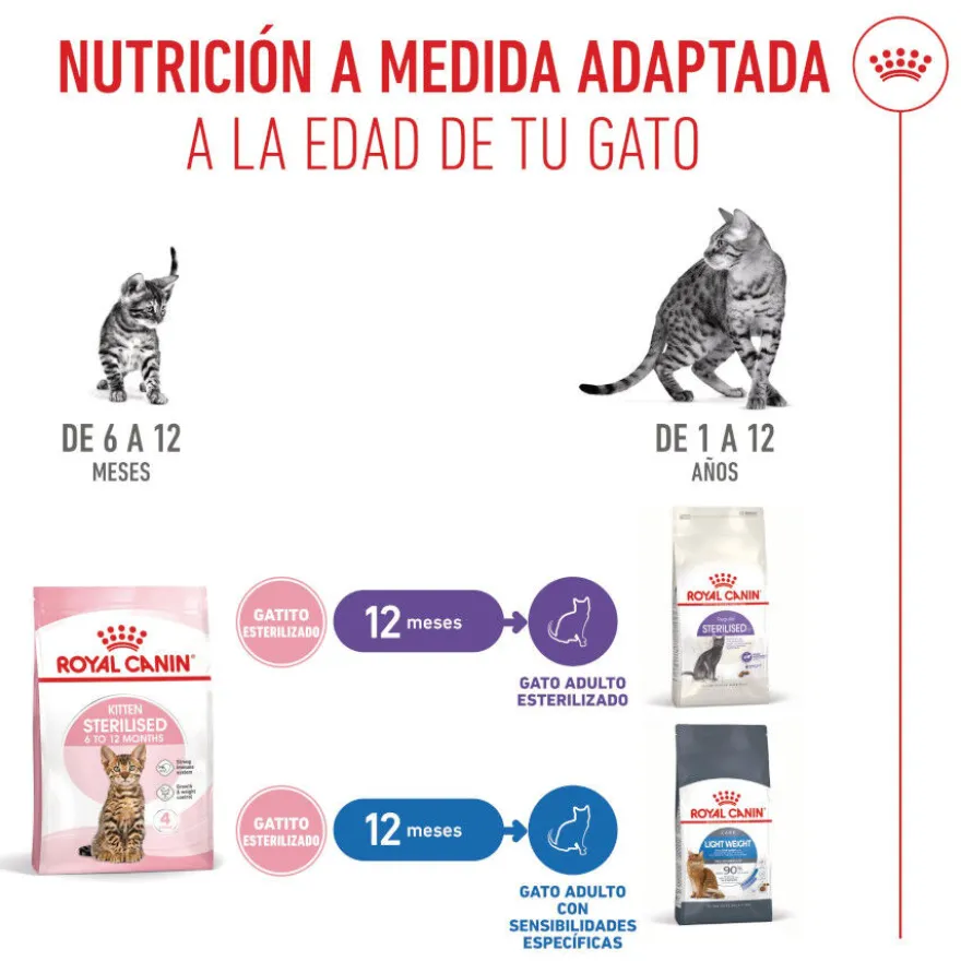Royal Canin Kitten Sterilised pienso para gatos