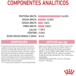 Royal Canin Kitten Sterilised pienso para gatos