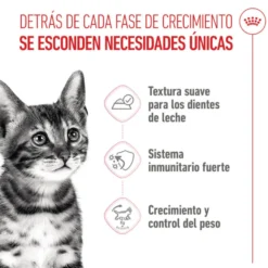 Royal Canin Kitten Sterilised salsa sobre para gatos