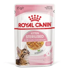 Royal Canin Kitten Sterilised gelatina para gatos